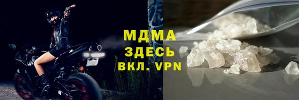 мдпв Инсар
