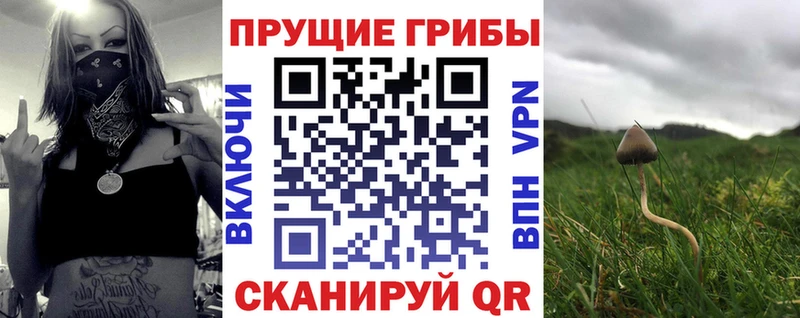 Галлюциногенные грибы Cubensis  Павловск 
