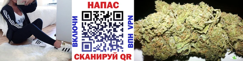 Бошки марихуана план  Павловск 